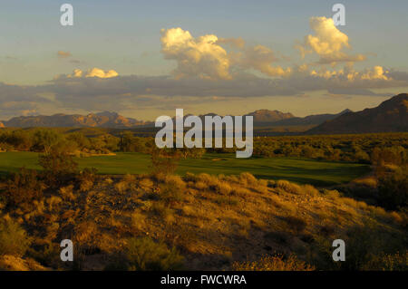 Fort Mcdowell, Arizona, USA. 2. April 2012. Tempe, Arizona; 21. Oktober 2006 Â Loch Nr. 17 im Saguaro an We-Ko-Pa Golf Club in Fort McDowell, ARIZ ZUMA PRESS/Scott A. Miller © Scott A. Miller/ZUMA Draht/Alamy Live-Nachrichten Stockfoto