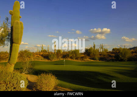 Fort Mcdowell, Arizona, USA. 2. April 2012. Tempe, Arizona; 21. Oktober 2006 Â Loch Nr. 2 auf dem Saguaro-Kurs im We-Ko-Pa Golf Club in Fort McDowell, ARIZ ZUMA PRESS/Scott A. Miller © Scott A. Miller/ZUMA Draht/Alamy Live-Nachrichten Stockfoto