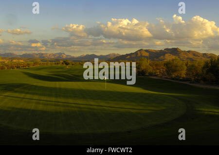 Fort Mcdowell, Arizona, USA. 2. April 2012. Tempe, Arizona; 21. Oktober 2006 Â Loch Nr. 13 im Saguaro an We-Ko-Pa Golf Club in Fort McDowell, ARIZ ZUMA PRESS/Scott A. Miller © Scott A. Miller/ZUMA Draht/Alamy Live-Nachrichten Stockfoto