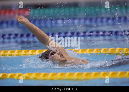 Daiya Seto, 4. April 2016 - Schwimmen: Japan Meisterschaft (JAPAN schwimmen 2016) Männer Schwimmen 400 m einzelnen Medley Wärmeregelung Tatsumi International Swimming Center in Tokio, Japan. (Foto: AFLO SPORT) Stockfoto