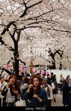 Tokio, Japan. 4. April 2016. Menschen schlendern Sie unter voll blühten Kirschblüten an einer Promenade entlang des Flusses Meguro in Tokio am Montag, 4. April 2016. Kredite: Yoshio Tsunoda/AFLO/Alamy Live-Nachrichten Stockfoto