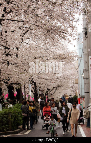 Tokio, Japan. 4. April 2016. Menschen schlendern Sie unter voll blühten Kirschblüten an einer Promenade entlang des Flusses Meguro in Tokio am Montag, 4. April 2016. Kredite: Yoshio Tsunoda/AFLO/Alamy Live-Nachrichten Stockfoto