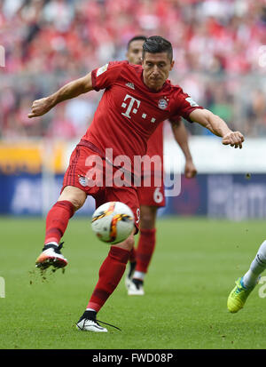 München, Deutschland. 2. April 2016. Bayern Robert Lewandowski in Aktion während der Fußball-Bundesliga match Bayern Munchen Vs Eintracht Frankfurt in München, Deutschland, 2. April 2016. Bayern München gewann 1: 0. Foto: Tobias Hase/Dpa/Alamy Live News Stockfoto