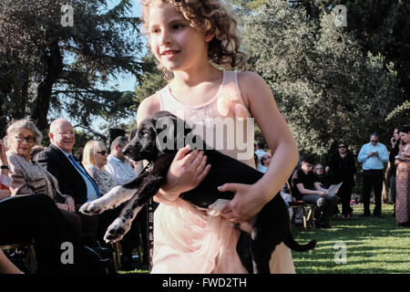 Jerusalem, Israel. 4. April 2016. Ein junges Mädchen spielt mit einem Welpen an die Residenz des Präsidenten. Israelische Präsident und die First Lady Rivlin Gastgeber einer "Adoptiere einen Tag des Hundes"-Veranstaltung im Garten der Residenz des Präsidenten in Partnerschaft mit der israelischen Tierschutz-Organisation "die Tiere leben lassen". Bildnachweis: Nir Alon/Alamy Live-Nachrichten Stockfoto