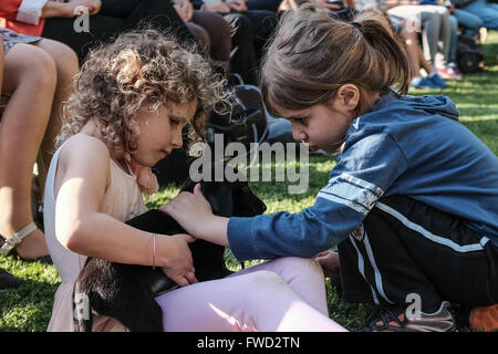 Jerusalem, Israel. 4. April 2016. Kleine Kinder spielen mit einem Welpen an die Residenz des Präsidenten. Israelische Präsident und die First Lady Rivlin Gastgeber einer "Adoptiere einen Tag des Hundes"-Veranstaltung im Garten der Residenz des Präsidenten in Partnerschaft mit der israelischen Tierschutz-Organisation "die Tiere leben lassen". Bildnachweis: Nir Alon/Alamy Live-Nachrichten Stockfoto