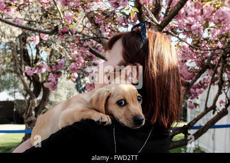 Jerusalem, Israel. 4. April 2016. Israelische Präsident und die First Lady Rivlin Veranstaltung eine "Adoptiere einen Tag des Hundes" im Garten der Residenz des Präsidenten in Partnerschaft mit der israelischen Tierschutz-Organisation "die Tiere leben lassen". Bildnachweis: Nir Alon/Alamy Live-Nachrichten Stockfoto