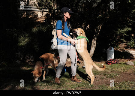 Jerusalem, Israel. 4. April 2016. Israelische Präsident und die First Lady Rivlin Veranstaltung eine "Adoptiere einen Tag des Hundes" im Garten der Residenz des Präsidenten in Partnerschaft mit der israelischen Tierschutz-Organisation "die Tiere leben lassen". Bildnachweis: Nir Alon/Alamy Live-Nachrichten Stockfoto