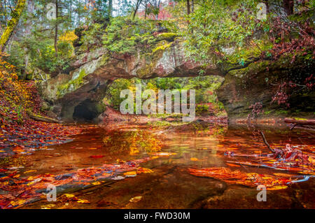 Die Farben des Herbstes füllen den Bach fließt unter dem natürlichen Bogen, Rock-Brücke in Kentucky Red River Gorge. Stockfoto