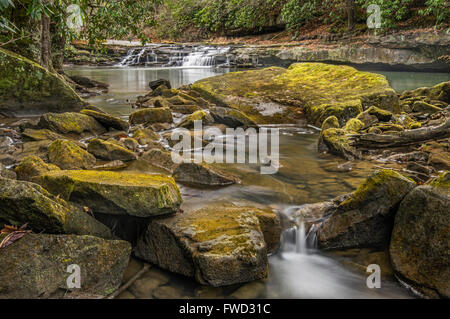 Nach oben auf ein flaches Wasserbecken und eine kleine Gruppe von fällt direkt neben der Fayetteville Trail, New River Gorge, West Virginia. Stockfoto