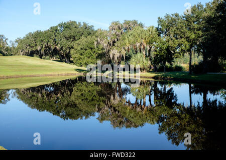 Teich in Middleton Place, Charleston, South Carolina, USA Stockfoto