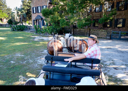 Pferdekutsche Tour in Middleton Place, Charleston, South Carolina, USA Stockfoto