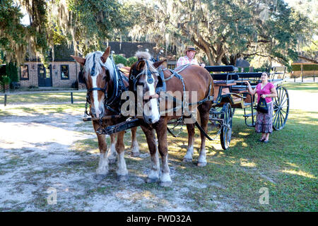 Pferdekutsche Tour in Middleton Place, Charleston, South Carolina, USA Stockfoto