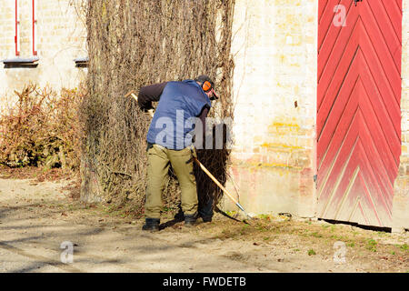 Vittskovle, Schweden - 1. April 2016: Mann ist eine Handgemenge Hacke außerhalb eines Gebäudes mit einem großen roten Tür verwenden. Er ist das Unkraut her entfernen Stockfoto