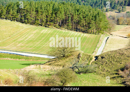 Malerische Aussicht auf eine sehr abwechslungsreiche Landschaft mit Feldern, Hügeln und Nadelwald. Viele Ökosysteme zu konkurrieren, auf einem kleinen sind Stockfoto