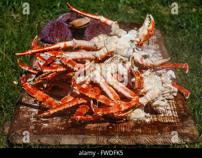 Nur gekochte Beine eine rote Königskrabbe mit rohen Seeigel und Jakobsmuscheln auf Hintergrund Stockfoto