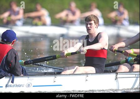 University College Cork Rowing Team-Mitglied Tradhg Buckley hilft seine Crew auf der diesjährigen Ramada Plaza University Boat Race 2013 auf dem Fluss Lagan, Belfast, 8. Juni 2013, Aginist Queens University Belfast in der Senior Rennen der Männer kämpfen. Stockfoto