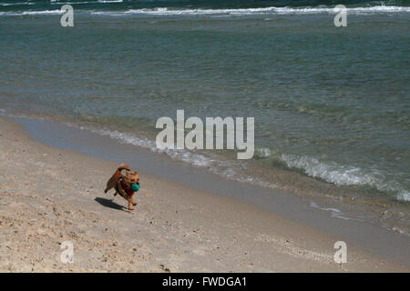 Spielen holen am Strand Stockfoto