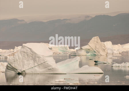 Eisberge - Scoresby Sound - Grönland Stockfoto