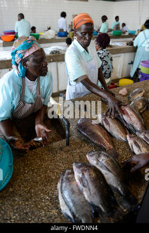 Kisumu in Kenia, Frauen am Fisch Markt verkaufen Fang des Tages, die Fische aus dem Viktoriasee gleicht der Nilbarsch Stockfoto