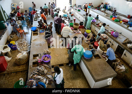 Kisumu in Kenia, Frauen am Fisch Markt verkaufen Fang des Tages, die Fische aus dem Viktoriasee gleicht der Nilbarsch Stockfoto