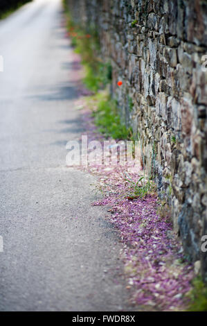 Mittelalterlichen Steinen in der Toskana vertreten seit Jahren, die unpassierbar und die stärkste Begrenzung von Menschen gebaut. Stockfoto