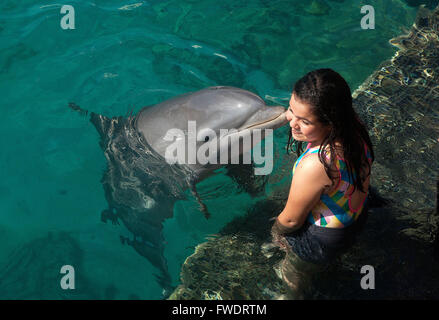 ABC-Inseln (Aruba, Bonaire und Curaçao): Delphinen in der Dolphin Academy, Willemstad, Curaçao Stockfoto