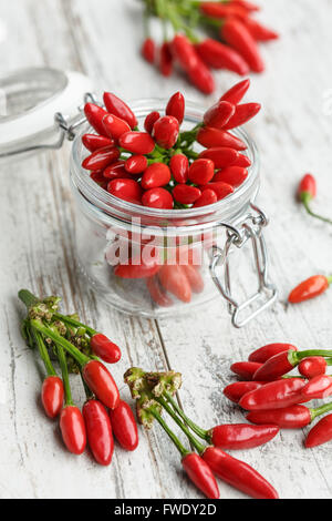 Rote scharfe Chilischoten im Weckglas Stockfoto