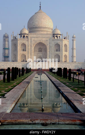 Klassische Ansicht des Taj Mahal in Agra. Beachten Sie das Minarett auf der linken Seite mit Gerüst, während Reinigung unterzogen. Stockfoto