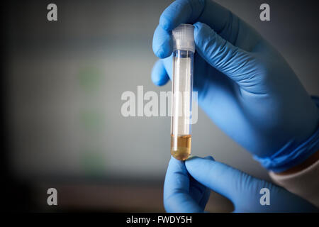 TestTube Teststichprobe klinische Stockfoto