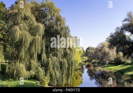Landschaft: eine kleine, ruhige Fluss, deren Wasser reflektiert an den Ufern des schönen Bäume wachsen. Stockfoto