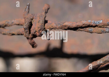 verrosteter Stacheldraht closeup Stockfoto