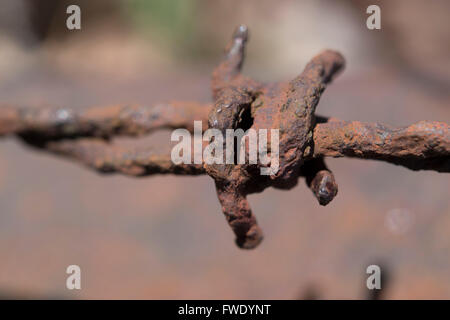 verrosteter Stacheldraht closeup Stockfoto