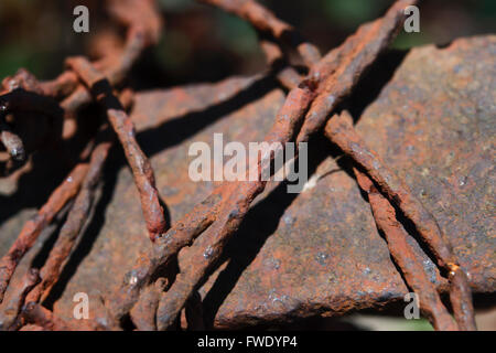 verrosteter Stacheldraht closeup Stockfoto