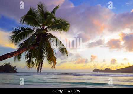 Frisch Gefangene Fische Zum Verkauf, Fischmarkt Im Sir Selwyn Selwyn Clarke Markt, Victoria, Insel Mahe, Seychellen Stockfoto