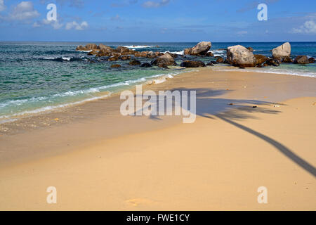 Frisch Gefangene Fische Zum Verkauf, Fischmarkt Im Sir Selwyn Selwyn Clarke Markt, Victoria, Insel Mahe, Seychellen Stockfoto