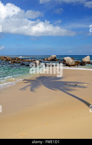 Koepfe von Frisch Gefangenen Haien Zum Verkauf, Fischmarkt Im Sir Selwyn Selwyn Clarke Markt, Victoria, Insel Mahe, Seychellen Stockfoto