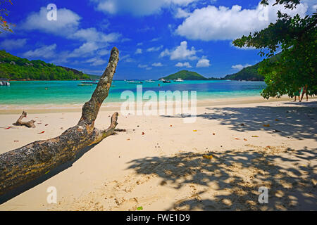 Eingang Zum Sir Selwyn Selwyn Clarke Markt, Victoria, Insel Mahe, Seychellen Stockfoto