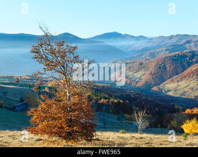 Morgennebel im Herbst Karpaten. Land Berglandschaft mit bunten Wald am Hang. Stockfoto