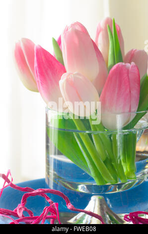 Closeup, rosa Tulpe Blumen Stockfoto