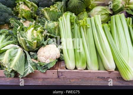 Frisches grünes Gemüse wie Sellerie, Blumenkohl, Kohl und Brokkoli am Markt Stockfoto