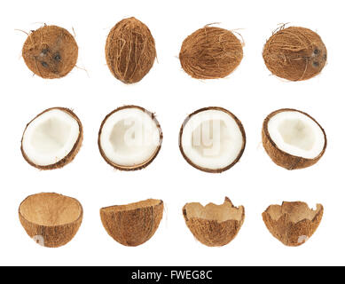 Satz von Kokosnuss Früchten isoliert Stockfoto