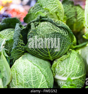 Frische grüne Wirsing (Brassica Oleracea), am Marktstand Stockfoto