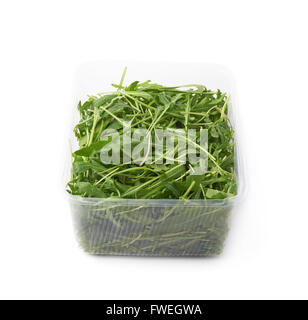 Raupe-Sativa-Rucola-Rucola-Salat Stockfoto