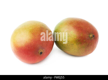 Zwei Mango-Früchten isoliert Stockfoto