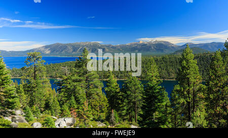 Schneeberg und Wald, Fotos Taken in Lake Tahoe City Stockfoto