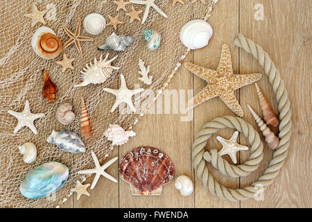 Sea Shell abstrakten Hintergrund mit Fischernetz und Seil auf alten Eichen-Holz. Stockfoto