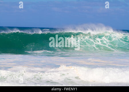 Der Traum eines jeden Surfer Wellen wie diese zu finden. Diese Wellen sind bei Pipeline auf der Nordküste von Oahu im Winter in ein Stockfoto