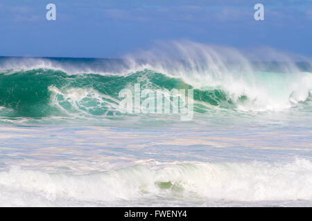 Der Traum eines jeden Surfer Wellen wie diese zu finden. Diese Wellen sind bei Pipeline auf der Nordküste von Oahu im Winter in ein Stockfoto