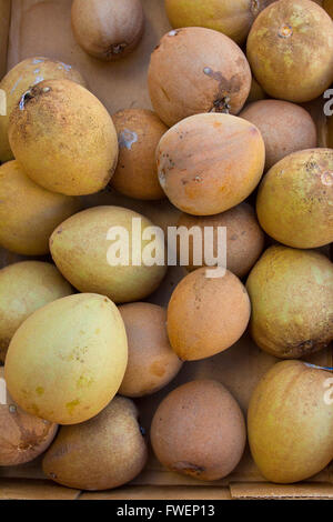 Bilder vom Bauernmarkt in Hawaii tropische Früchte oder Gemüse in einfache Fotos mit leuchtenden Farben zeigen. Stockfoto