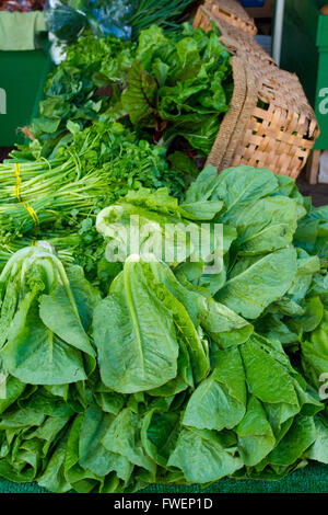 Bilder vom Bauernmarkt in Hawaii tropische Früchte oder Gemüse in einfache Fotos mit leuchtenden Farben zeigen. Stockfoto